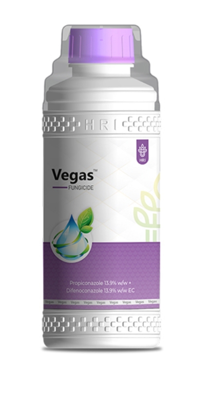 Propiconazole 13.9% + Difenoconazole 13.9% Fungicide