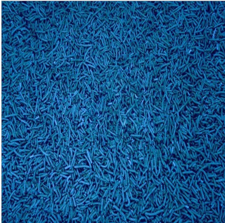 Sodium Lauryl Sulphate Needles