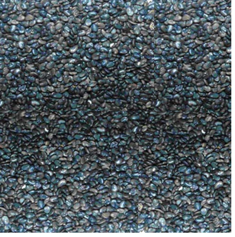 Sunhemp Seeds