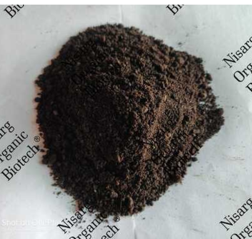 Special Garden Fertilizer