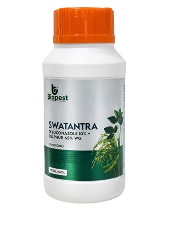Swatantra Tebuconazole 10% + Sulphur 65% WG Fungicide
