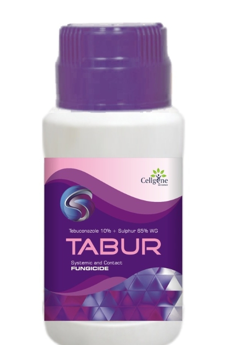 Tabur Tebuconazole 10% + Sulphur 65% WG Fungicide