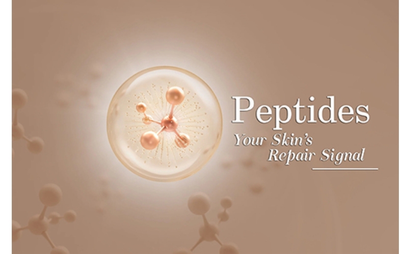 Peptide Compounds