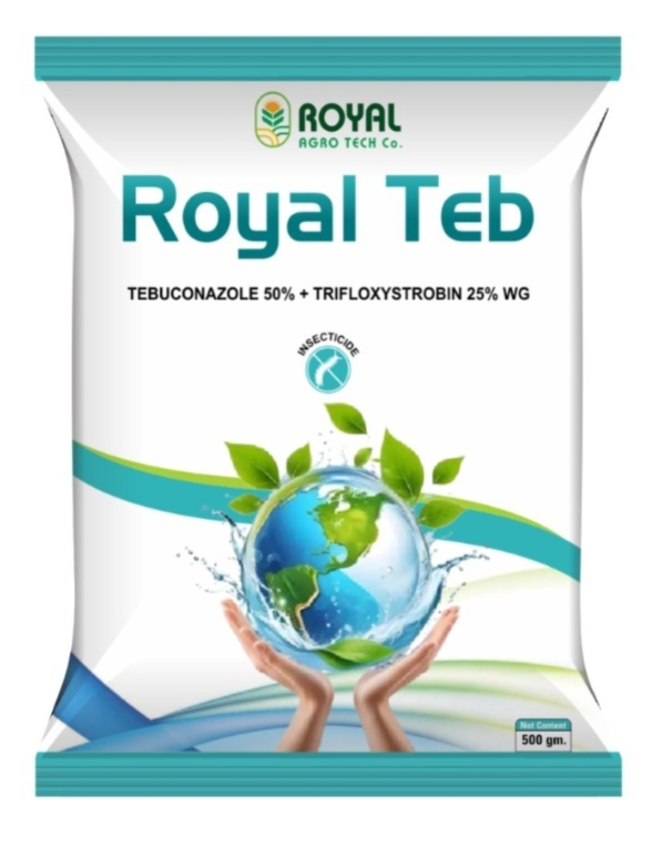 Tebuconazole 50% + Trifloxystrobin 25% WG