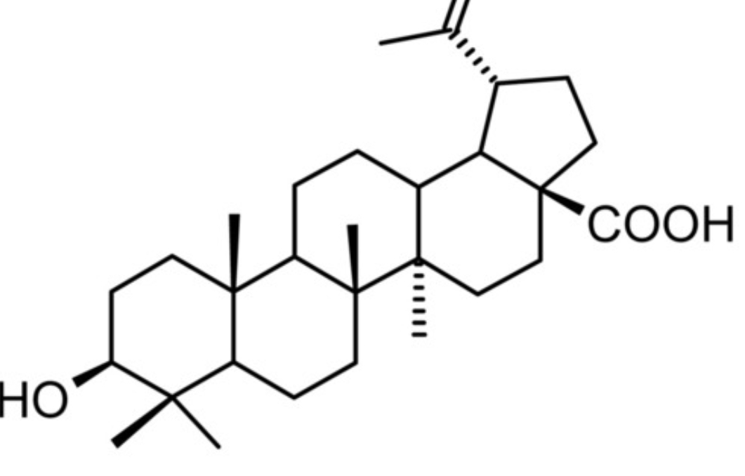 Betulinic Acid