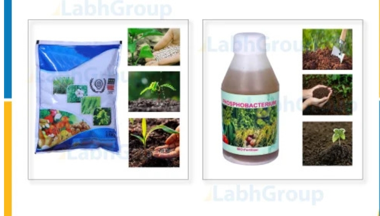 Bio Organic Fertilizers Manure