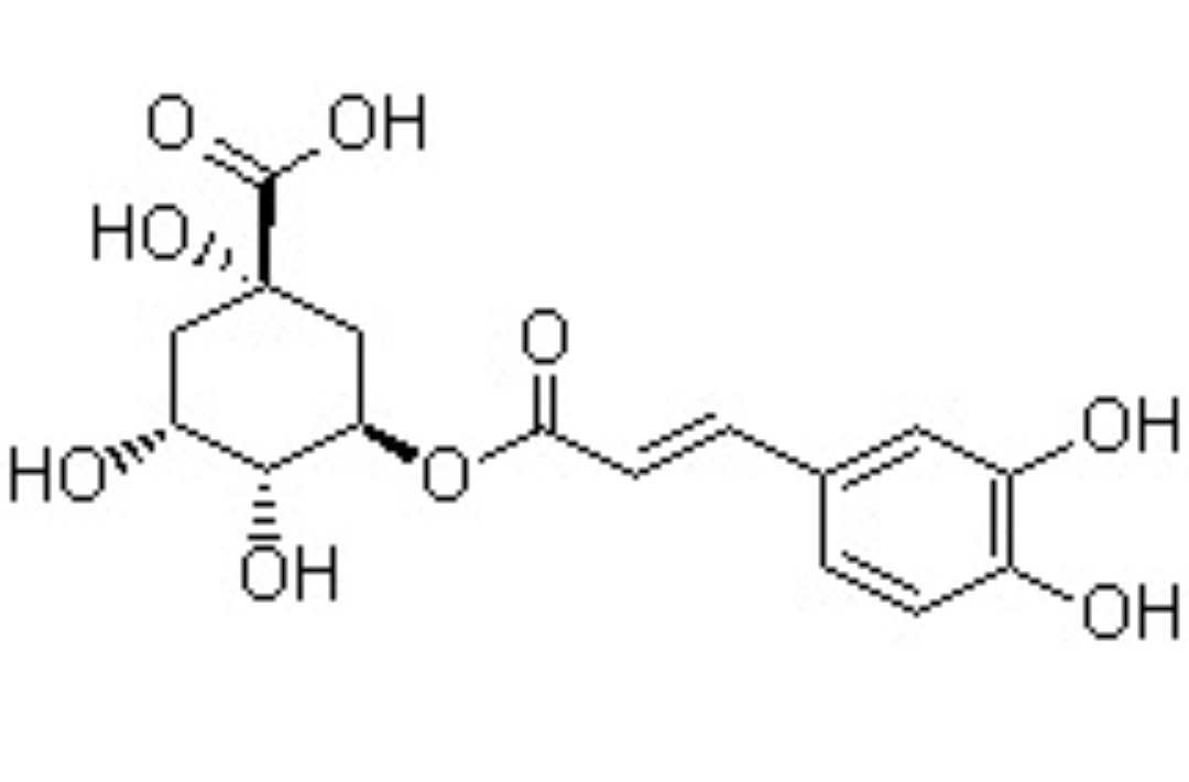 Chlorogenic Acid