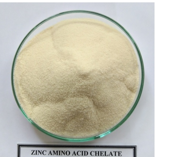 Zinc Amino Acid Chelates