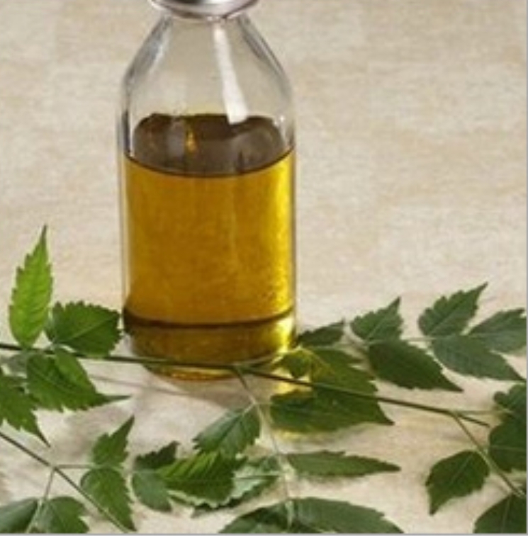 Liquid Neem Pesticide