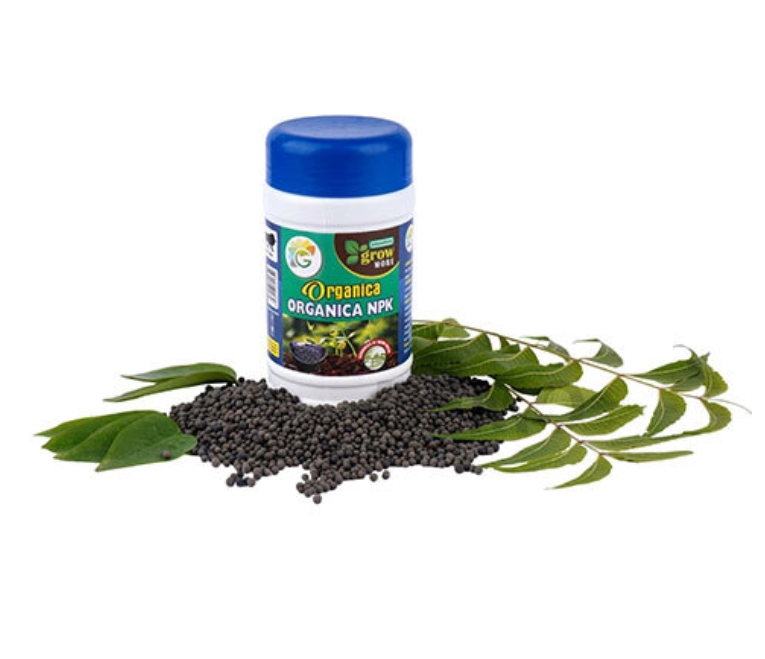 NPK Fertilizer – Nitrogen, Phosphorus and Potassium