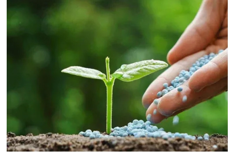 Nitrogen Fertilizers