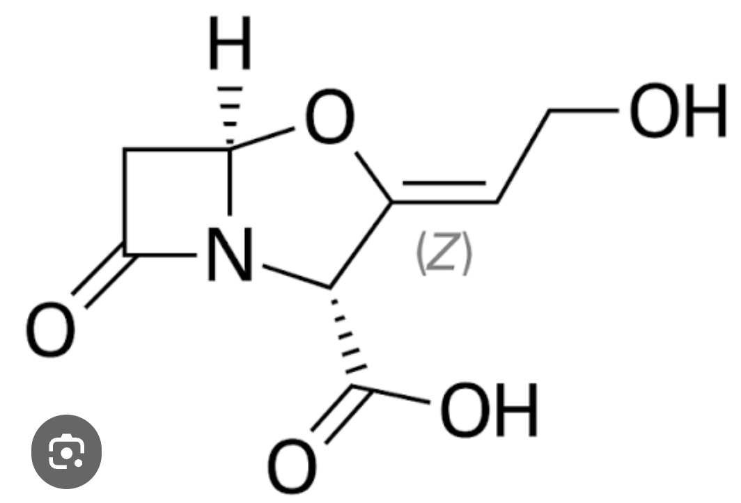 Clavulanic Acid