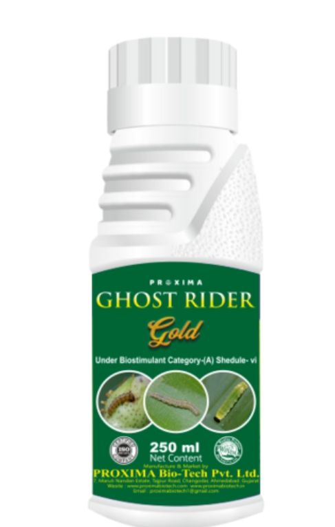 Ghost Rider Gold