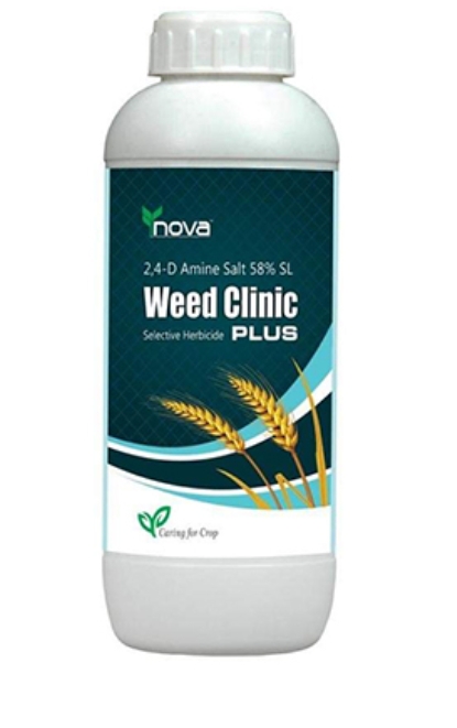 Nova Weed Clinic Plus