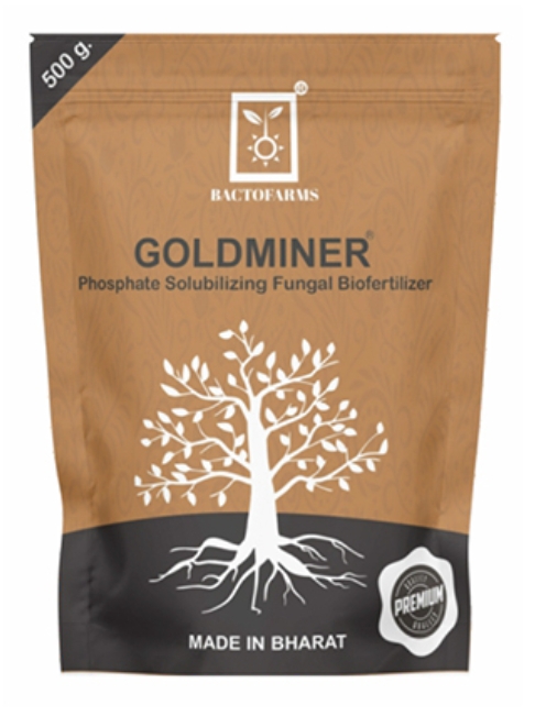 Goldminer Phosphate Solubilizing Fungi